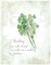 Fresh Parsley Poster Print by Carol Robinson - Item # VARPDX17354